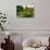 Assorted Colors of the Japanese Garden-neelsky-Photographic Print displayed on a wall