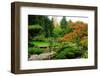 Assorted Colors of the Japanese Garden-neelsky-Framed Photographic Print