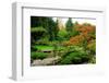 Assorted Colors of the Japanese Garden-neelsky-Framed Photographic Print