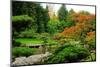Assorted Colors of the Japanese Garden-neelsky-Mounted Photographic Print
