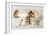 Assorted Edible Mushrooms on a Vintage White Table-Anyka-Framed Photographic Print