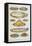 Assorted Fish Dishes Including Salmon, Trout, Cod and Scallops-Isabella Beeton-Framed Stretched Canvas