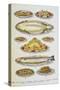 Assorted Fish Dishes Including Salmon, Trout, Cod and Scallops-Isabella Beeton-Stretched Canvas