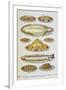 Assorted Fish Dishes Including Salmon, Trout, Cod and Scallops-Isabella Beeton-Framed Giclee Print