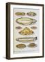 Assorted Fish Dishes Including Salmon, Trout, Cod and Scallops-Isabella Beeton-Framed Giclee Print