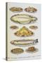 Assorted Fish Dishes Including Salmon, Trout, Cod and Scallops-Isabella Beeton-Stretched Canvas