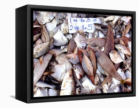 Assorted Fish Pile, Kuching Sunday Market, Kuching, Sarawak, Borneo, Malaysia-Jay Sturdevant-Framed Stretched Canvas