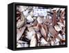 Assorted Fish Pile, Kuching Sunday Market, Kuching, Sarawak, Borneo, Malaysia-Jay Sturdevant-Framed Stretched Canvas