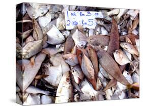 Assorted Fish Pile, Kuching Sunday Market, Kuching, Sarawak, Borneo, Malaysia-Jay Sturdevant-Stretched Canvas