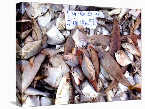 Assorted Fish Pile, Kuching Sunday Market, Kuching, Sarawak, Borneo, Malaysia-Jay Sturdevant-Stretched Canvas
