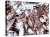 Assorted Fish Pile, Kuching Sunday Market, Kuching, Sarawak, Borneo, Malaysia-Jay Sturdevant-Stretched Canvas