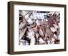 Assorted Fish Pile, Kuching Sunday Market, Kuching, Sarawak, Borneo, Malaysia-Jay Sturdevant-Framed Photographic Print