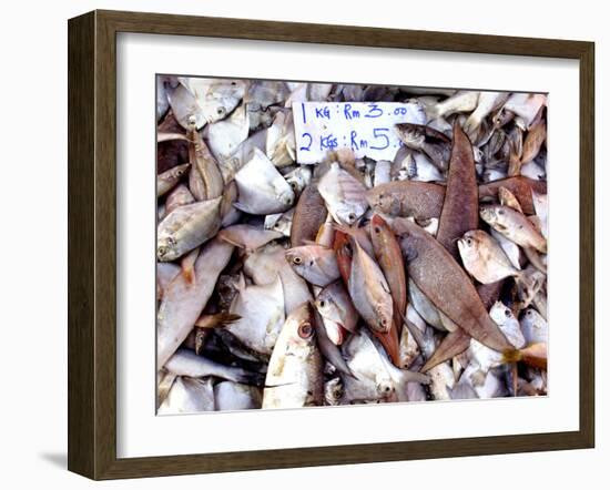 Assorted Fish Pile, Kuching Sunday Market, Kuching, Sarawak, Borneo, Malaysia-Jay Sturdevant-Framed Photographic Print