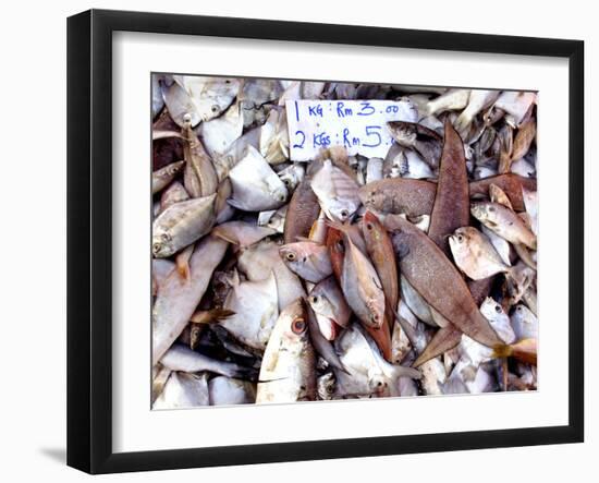 Assorted Fish Pile, Kuching Sunday Market, Kuching, Sarawak, Borneo, Malaysia-Jay Sturdevant-Framed Photographic Print