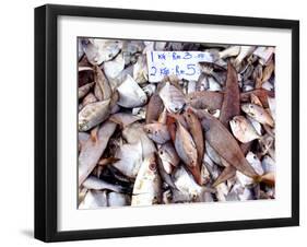 Assorted Fish Pile, Kuching Sunday Market, Kuching, Sarawak, Borneo, Malaysia-Jay Sturdevant-Framed Photographic Print