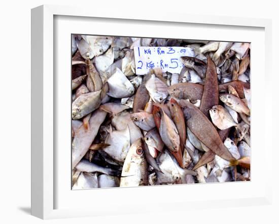 Assorted Fish Pile, Kuching Sunday Market, Kuching, Sarawak, Borneo, Malaysia-Jay Sturdevant-Framed Photographic Print