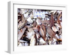 Assorted Fish Pile, Kuching Sunday Market, Kuching, Sarawak, Borneo, Malaysia-Jay Sturdevant-Framed Photographic Print