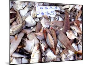 Assorted Fish Pile, Kuching Sunday Market, Kuching, Sarawak, Borneo, Malaysia-Jay Sturdevant-Mounted Photographic Print