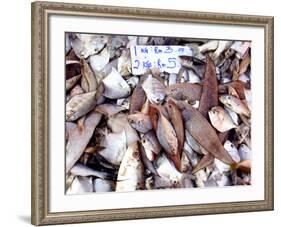 Assorted Fish Pile, Kuching Sunday Market, Kuching, Sarawak, Borneo, Malaysia-Jay Sturdevant-Framed Photographic Print