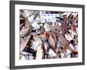 Assorted Fish Pile, Kuching Sunday Market, Kuching, Sarawak, Borneo, Malaysia-Jay Sturdevant-Framed Photographic Print