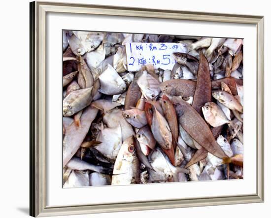 Assorted Fish Pile, Kuching Sunday Market, Kuching, Sarawak, Borneo, Malaysia-Jay Sturdevant-Framed Photographic Print