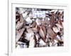 Assorted Fish Pile, Kuching Sunday Market, Kuching, Sarawak, Borneo, Malaysia-Jay Sturdevant-Framed Photographic Print