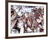 Assorted Fish Pile, Kuching Sunday Market, Kuching, Sarawak, Borneo, Malaysia-Jay Sturdevant-Framed Photographic Print