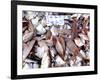 Assorted Fish Pile, Kuching Sunday Market, Kuching, Sarawak, Borneo, Malaysia-Jay Sturdevant-Framed Photographic Print