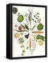 Assorted Foods-Wayne Anderson-Framed Stretched Canvas
