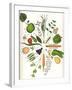 Assorted Foods-Wayne Anderson-Framed Giclee Print