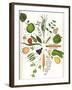 Assorted Foods-Wayne Anderson-Framed Giclee Print