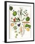 Assorted Foods-Wayne Anderson-Framed Giclee Print