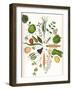 Assorted Foods-Wayne Anderson-Framed Giclee Print