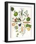 Assorted Foods-Wayne Anderson-Framed Giclee Print