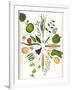 Assorted Foods-Wayne Anderson-Framed Giclee Print