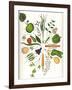 Assorted Foods-Wayne Anderson-Framed Giclee Print