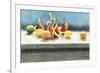 Assorted Fruit and Ribbons-Helen J. Vaughn-Framed Giclee Print