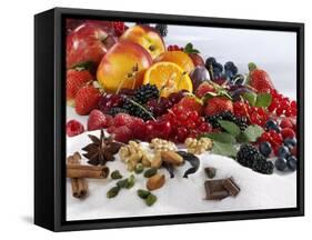 Assorted Fruit, Spices and Sugar-Karl Newedel-Framed Stretched Canvas