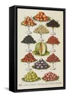 Assorted Fruits Including Melon-Isabella Beeton-Framed Stretched Canvas