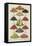 Assorted Fruits Including Melon-Isabella Beeton-Framed Stretched Canvas