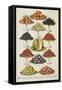 Assorted Fruits Including Melon-Isabella Beeton-Framed Stretched Canvas