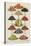 Assorted Fruits Including Melon-Isabella Beeton-Stretched Canvas