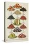Assorted Fruits Including Melon-Isabella Beeton-Stretched Canvas