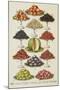 Assorted Fruits Including Melon-Isabella Beeton-Mounted Giclee Print