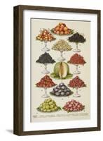 Assorted Fruits Including Melon-Isabella Beeton-Framed Giclee Print