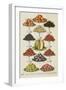 Assorted Fruits Including Melon-Isabella Beeton-Framed Giclee Print