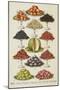 Assorted Fruits Including Melon-Isabella Beeton-Mounted Giclee Print