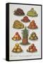 Assorted Fruits Including Pineapple-Isabella Beeton-Framed Stretched Canvas