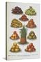 Assorted Fruits Including Pineapple-Isabella Beeton-Stretched Canvas