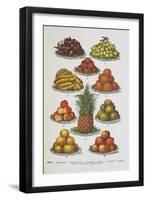 Assorted Fruits Including Pineapple-Isabella Beeton-Framed Giclee Print